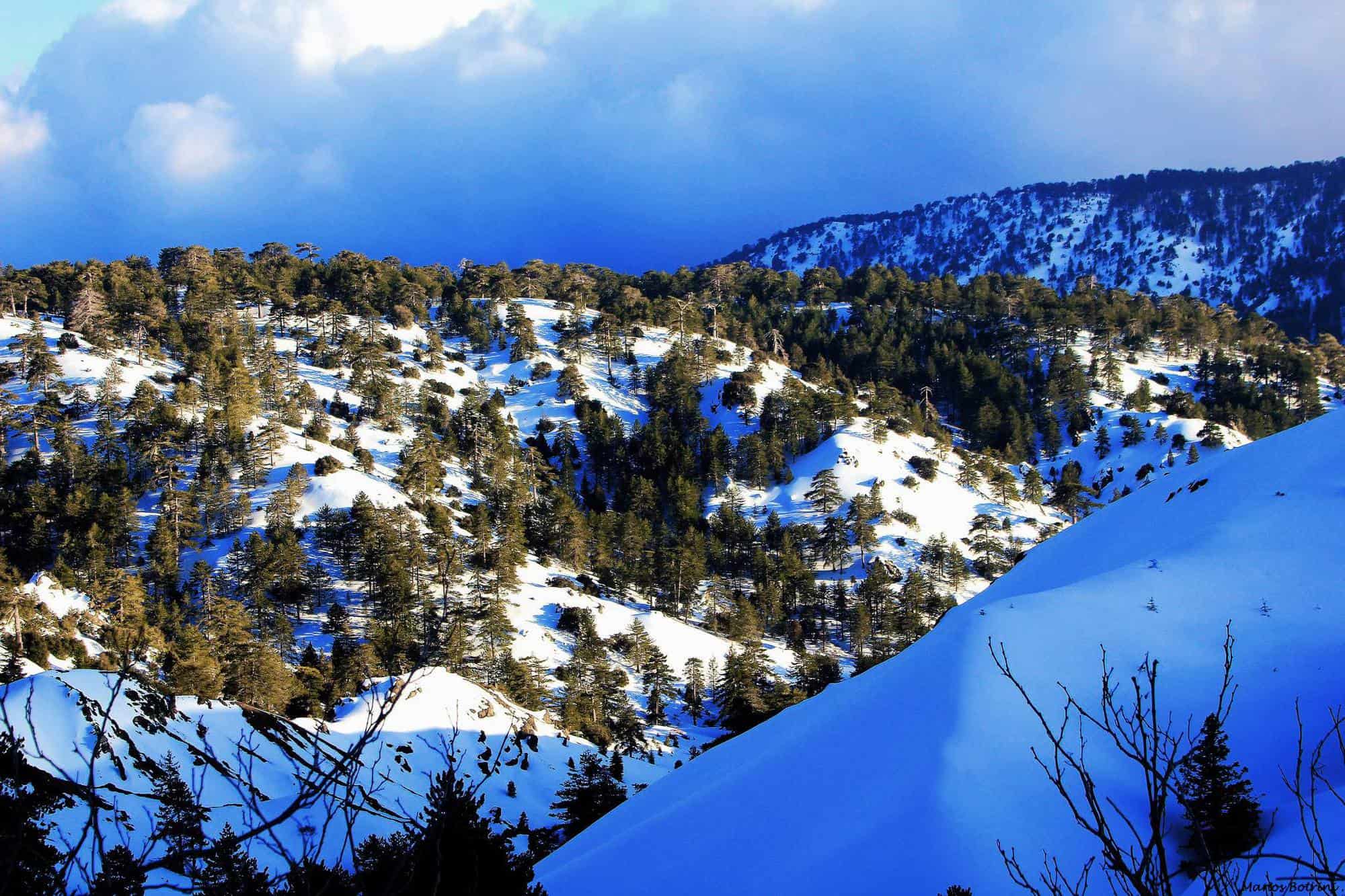 جبال ترودرس Troodos Mountains