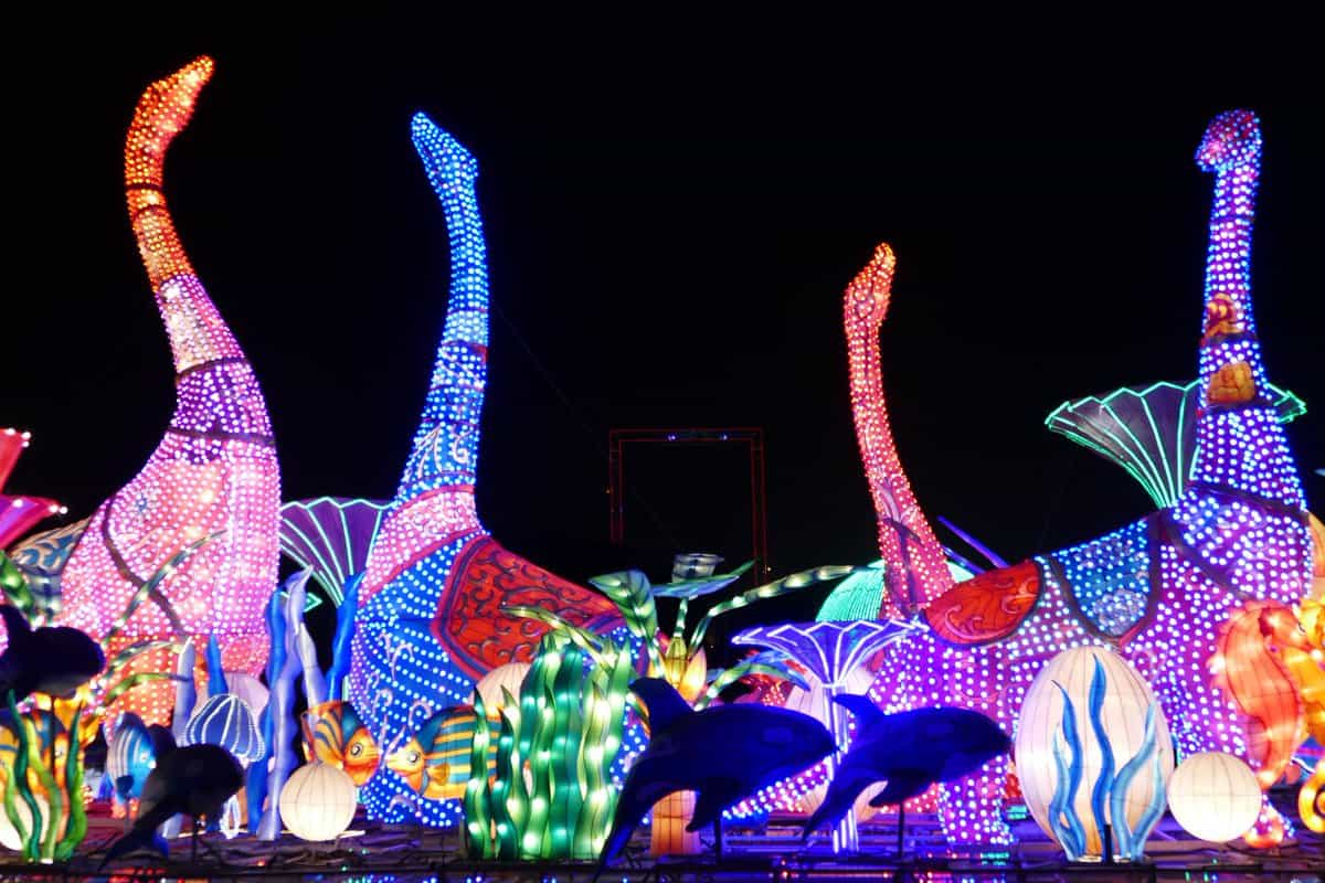 حديقة دبي جاردن جلو المضيئة وأبرز المعلومات عنها