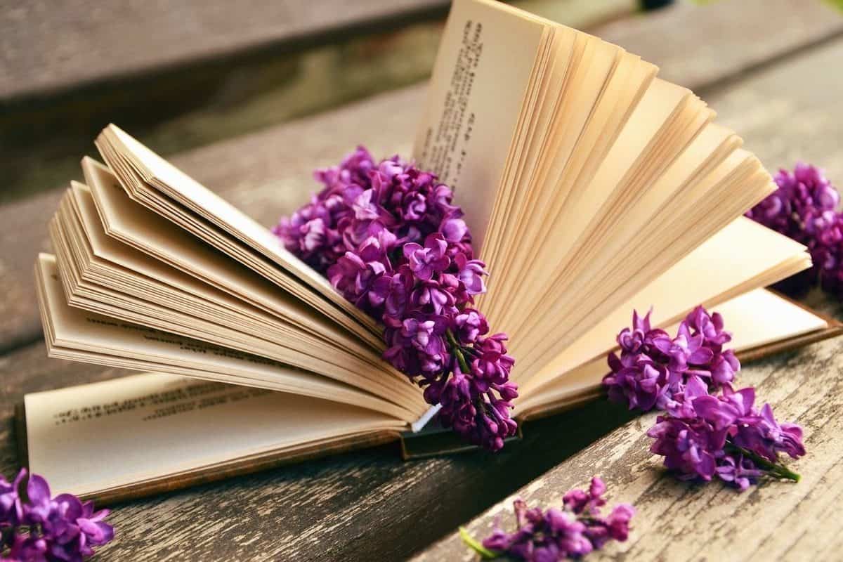 حكم وأمثال قصيرة جداً