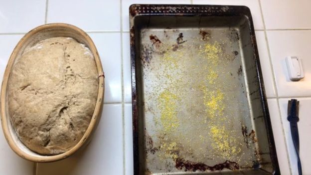 أمريكي يستخدم خميرة فرعونية عمرها 5200 عاماً في تصنيع الخبز أمريكي يستخدم خميرة فرعونية عمرها 5200 عاماً في تصنيع الخبز
