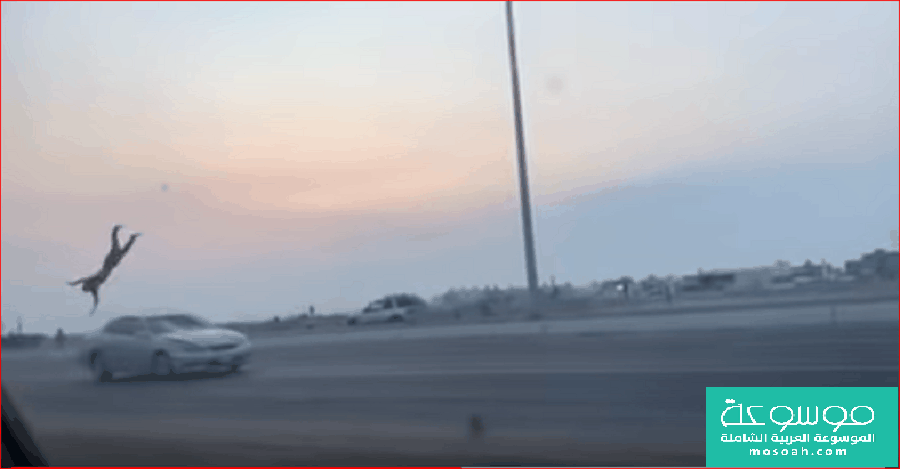 بالفيديو.. حادث دهس مروع لمقيم في مضاربة جماعية بالرياض
