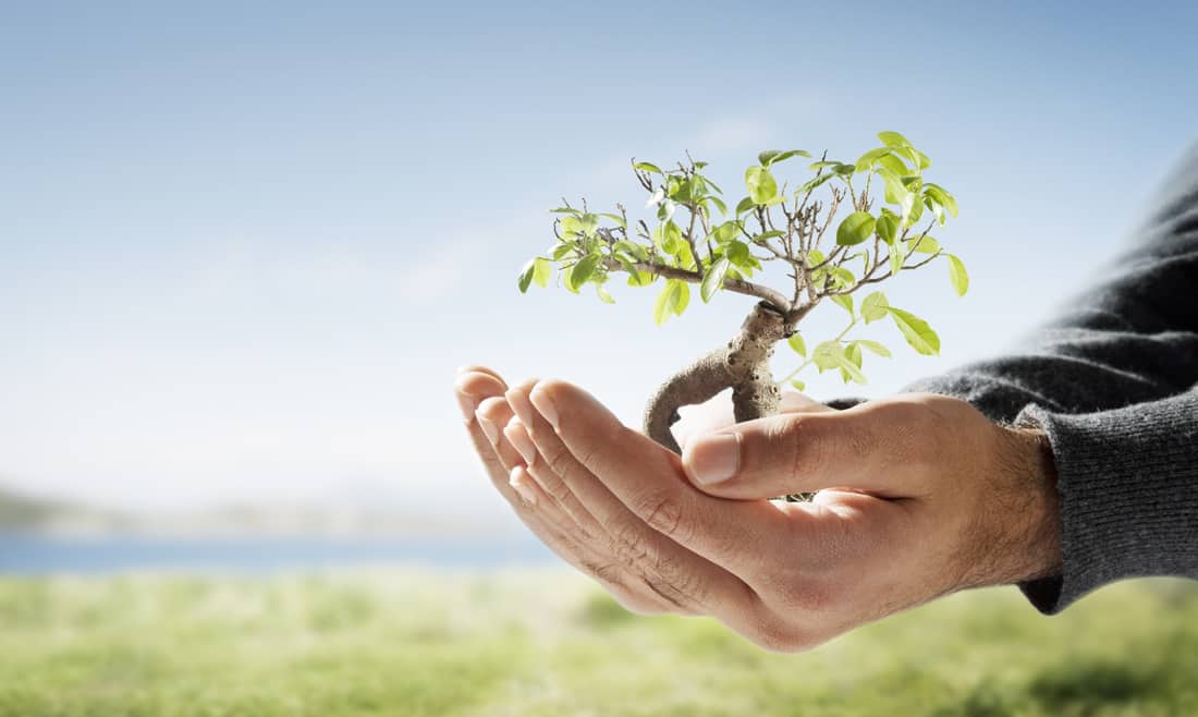 أجمل شعر عن الأخلاق