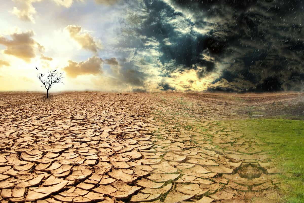 أسباب ظاهرة التصحر وحلولها