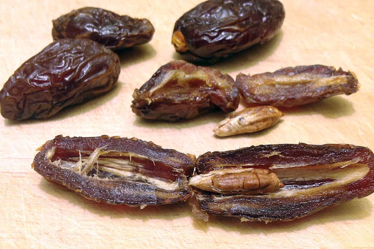 فوائد نواة التمر للشعر وأفضل وصفاتها