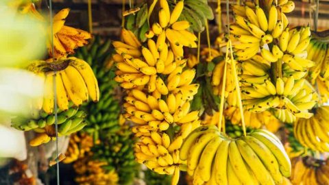 ما فوائد الموز للتخسيس والبشرة والكلى