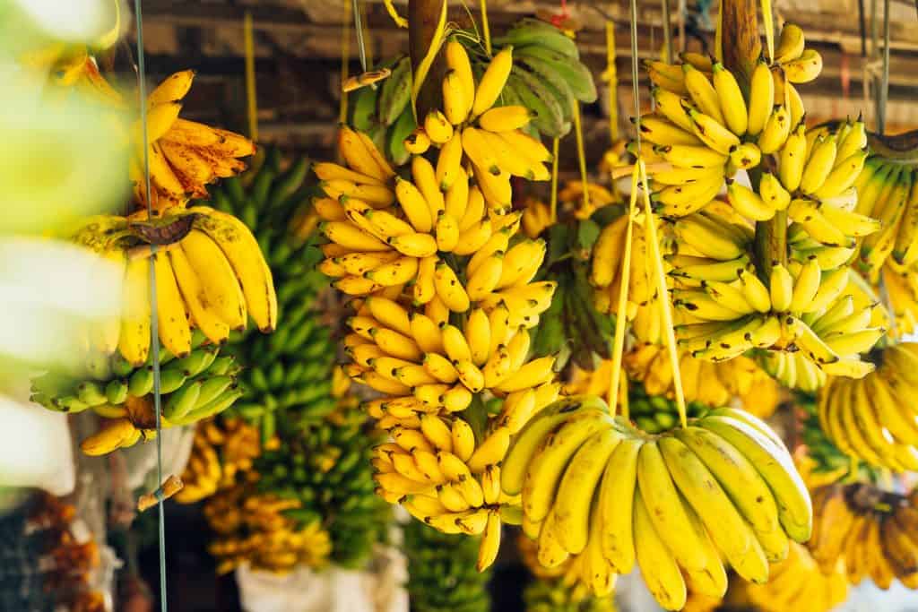 ما فوائد الموز للتخسيس والبشرة والكلى