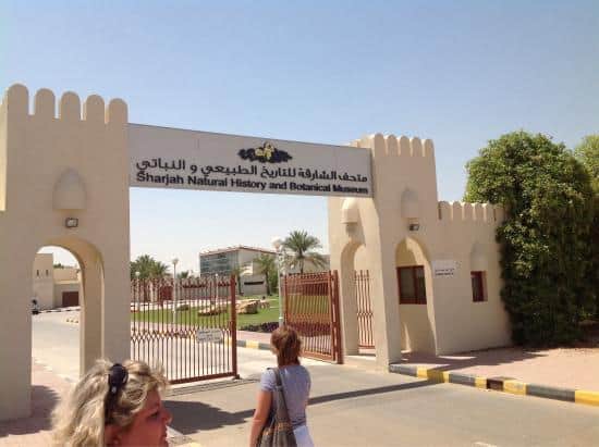 متحف الشارقة للتاريخ الطبيعي متحف الشارقة للتاريخ الطبيعي
