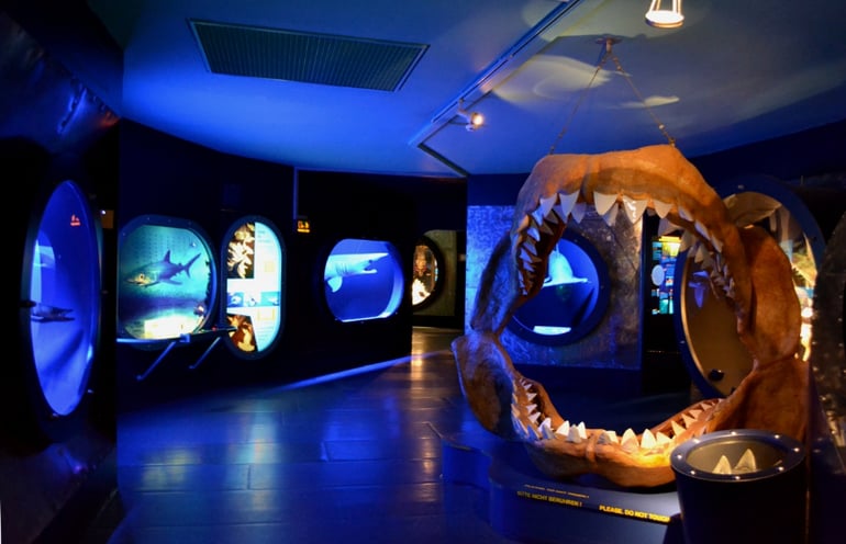 متحف بيت الطبيعة متحف بيت الطبيعة