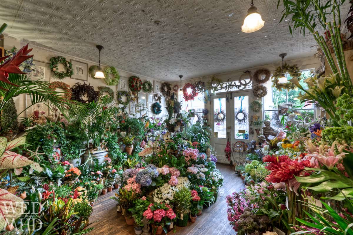 دليلك إلى أبرز مشاتل النباتات دبي