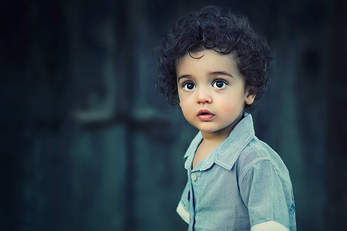 معنى بندر