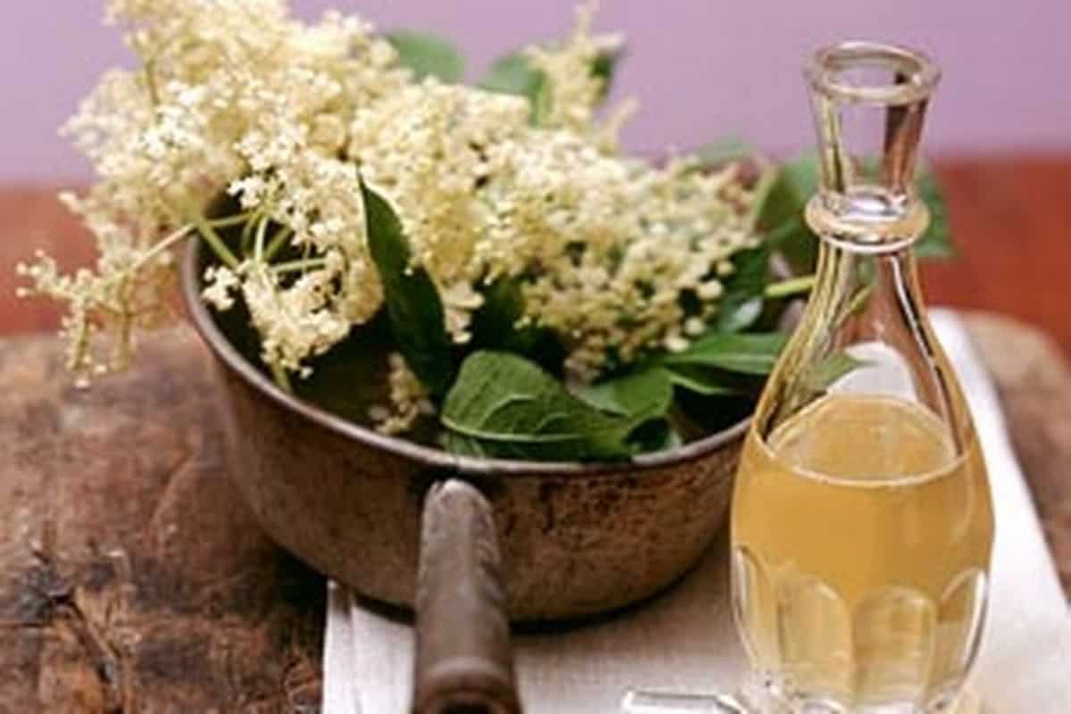 فوائد البيلسان وطرق الاستفادة منه