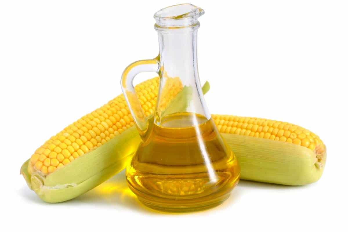 فوائد الذره وقيمته الغذائية