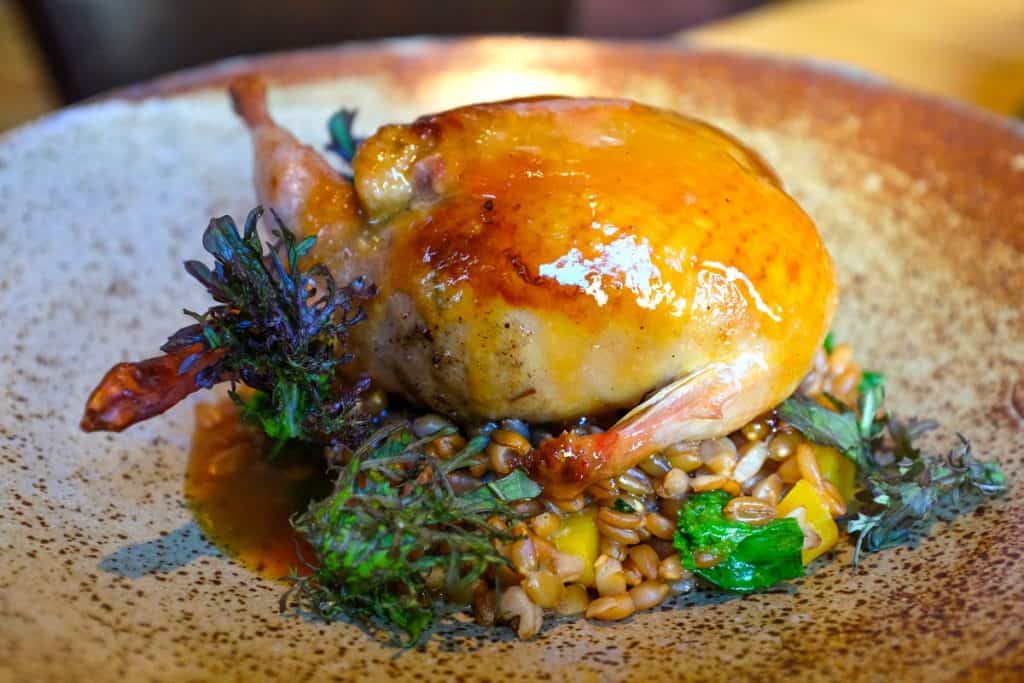 فوائد السمان