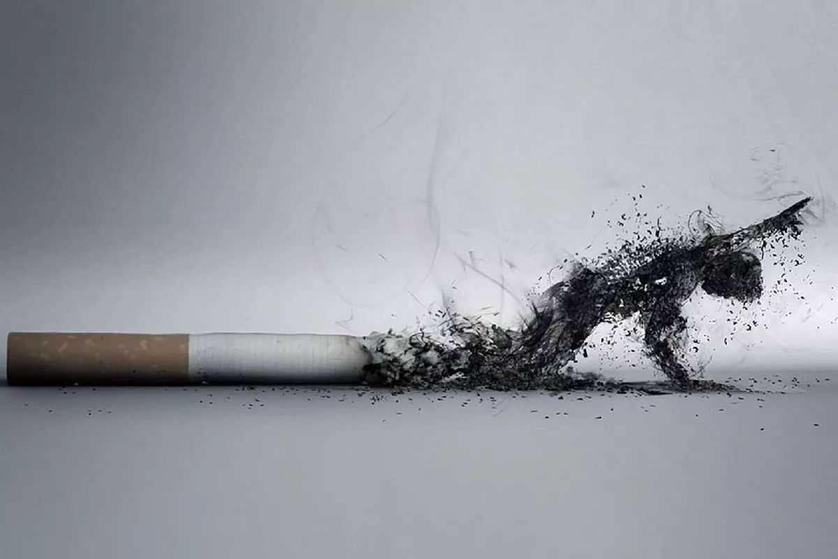ما هي أضرار التدخين بصفة عامة