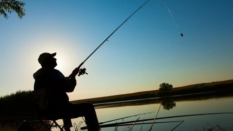 قائمة أفضل أماكن صيد الأسماك أبوظبي