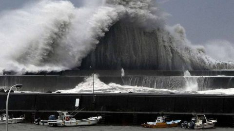 بالصور..إعصار ميتاج يضرب كوريا الجنوبية ويتسبب في مصرع 6 وإصابة آخرين