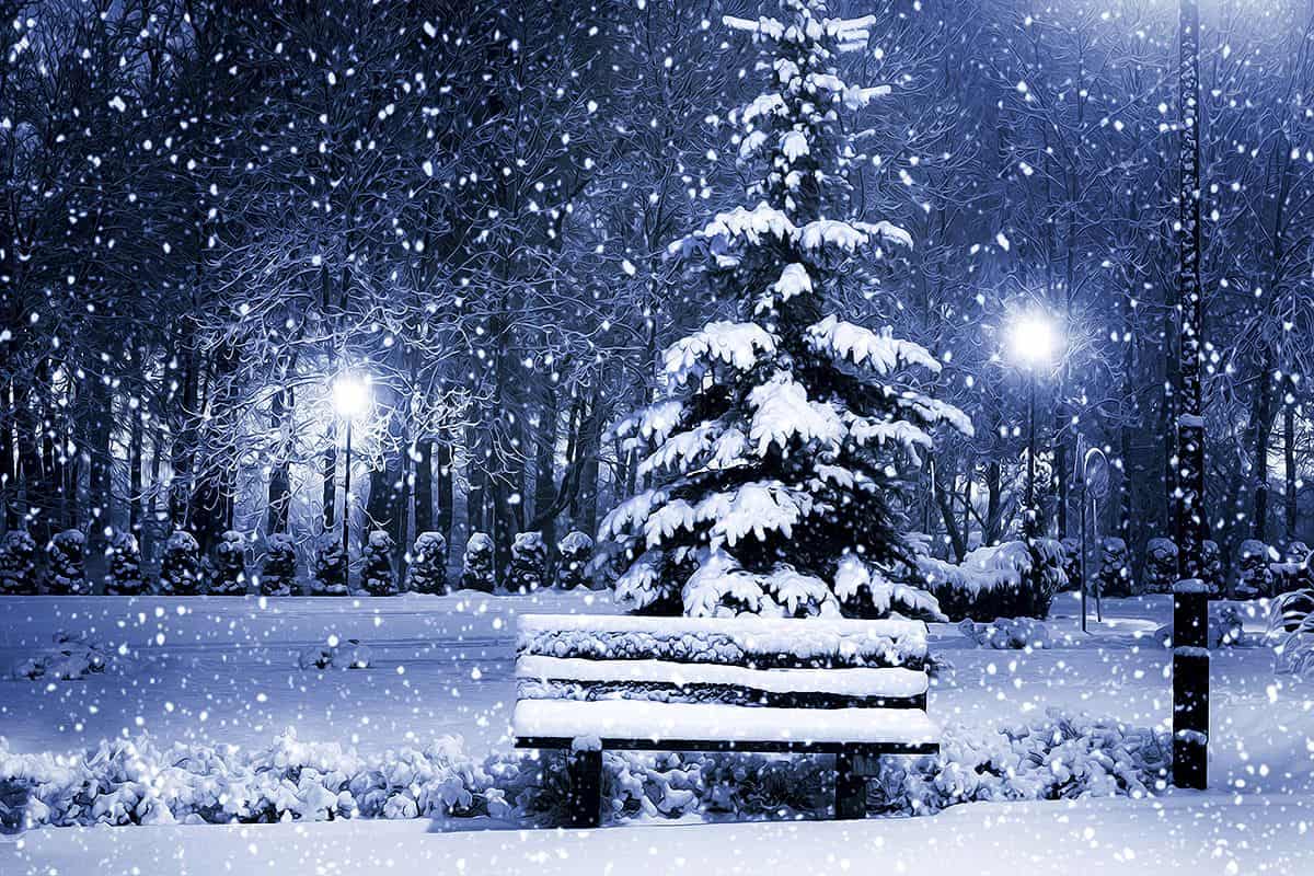 اذاعة مدرسية جاهزة عن الشتاء