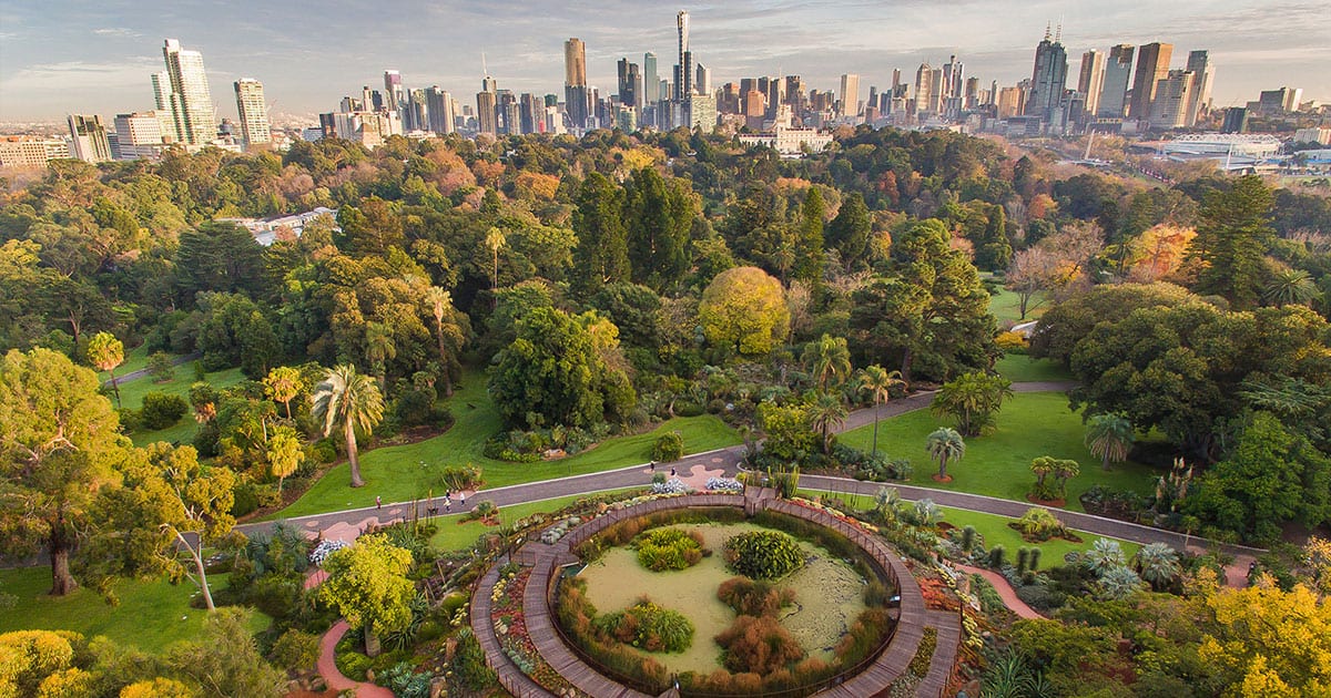 الحديقة النباتية الملكية الحديقة النباتية الملكية