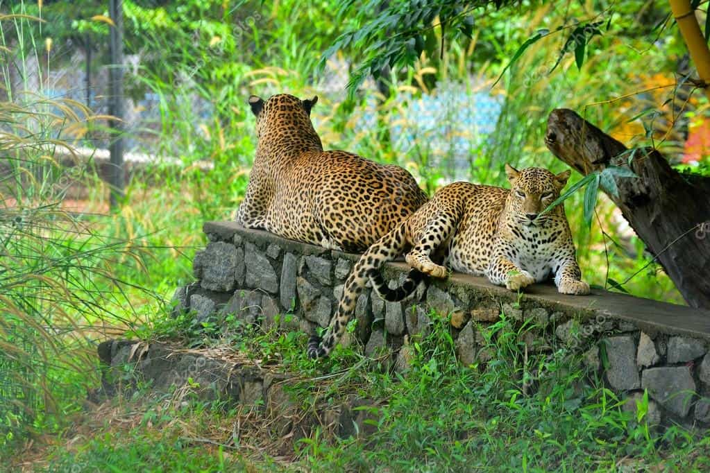 الحديقة الوطنية الحديقة الوطنية