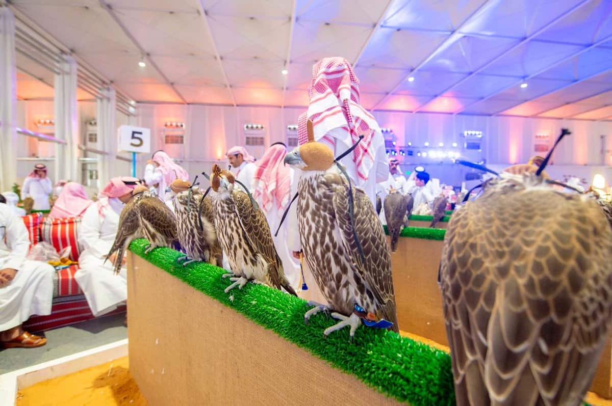 بالفيديو والصور..إقبال كثيف على معرض الصقور والصيد بموسم الرياض وتنظيمه رحلات إلى السودان بالفيديو والصور..إقبال كثيف على معرض الصقور والصيد بموسم الرياض وتنظيمه رحلات إلى السودان