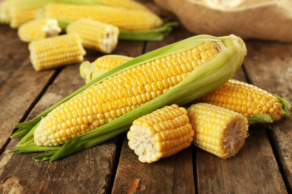 تفسير الذرة في المنام