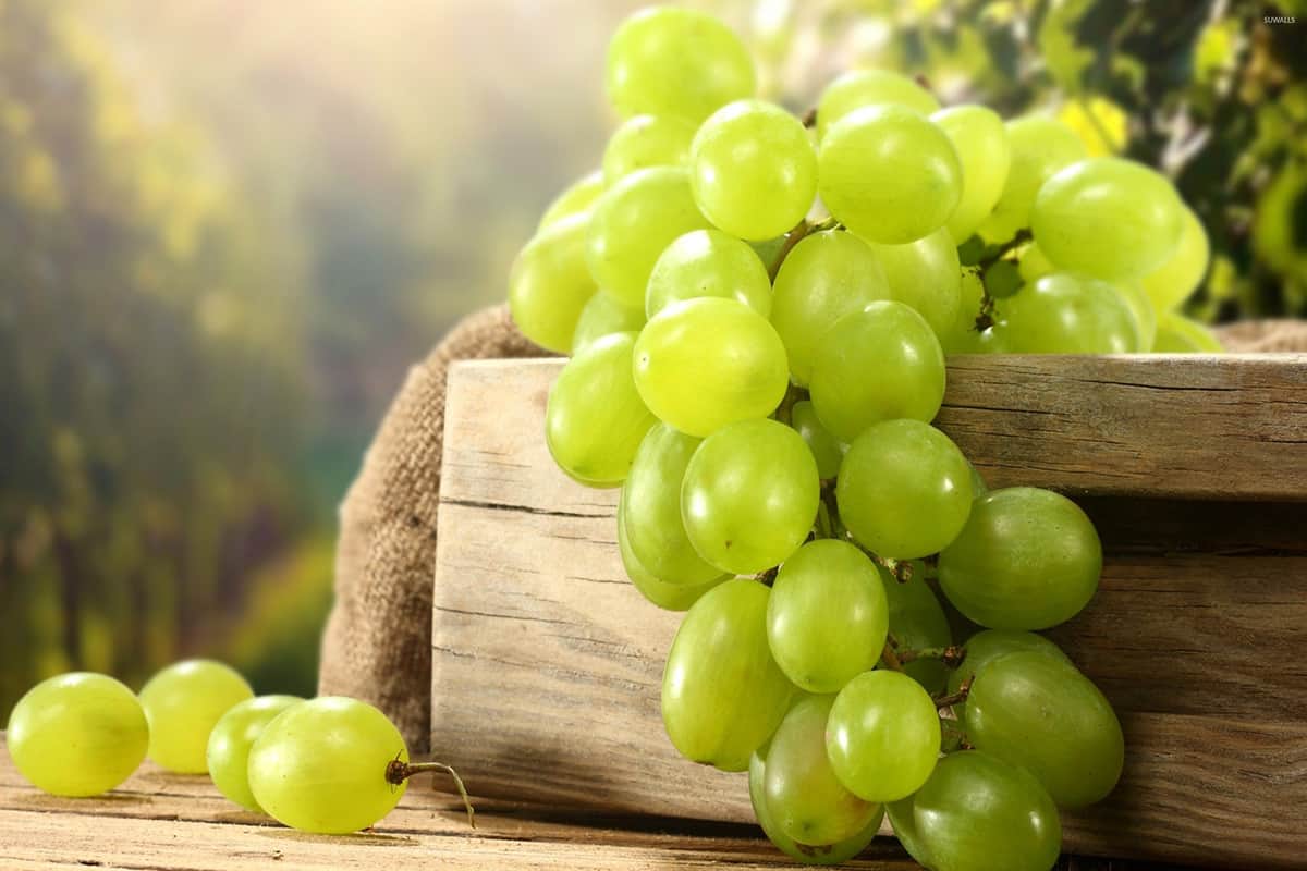 تفسير رؤية العنب في المنام