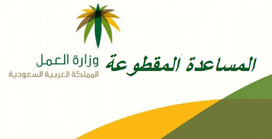 كل ما تود معرفته عن مقطوعة الضمان الاجتماعي شهر صفر