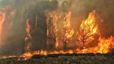 بالفيديو…مصرع 4 من رجال الإطفاء المدني وتعطل الدراسة في جامعة بيروت جراء اندلاع 103 حريق هائل بلبنان