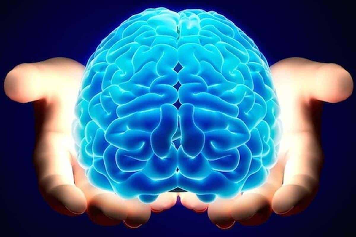 معلومات عامة مفيدة للانسان