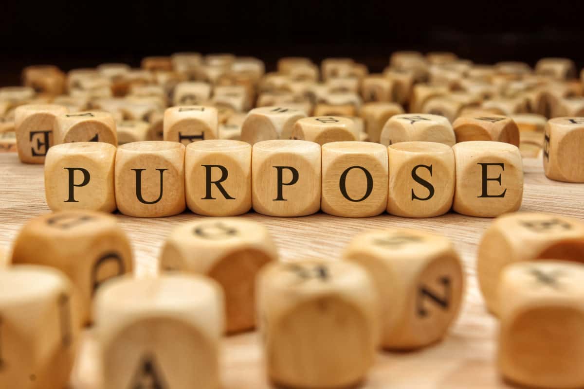 معني purpose