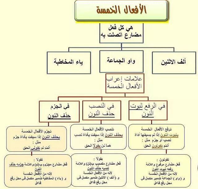 شرح الافعال الخمسة للصف الرابع شرح الافعال الخمسة للصف الرابع