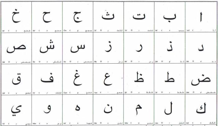 صور شعار اللغة العربية والشباب جديدة