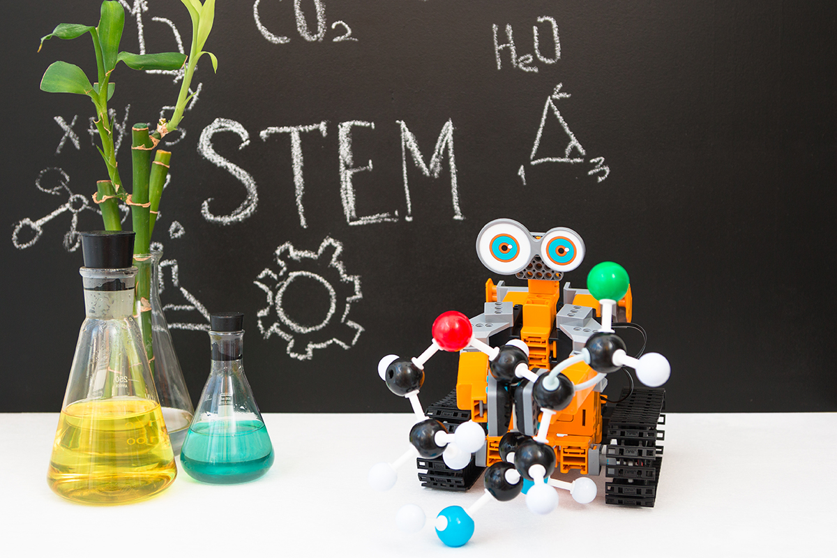 stem معنى
