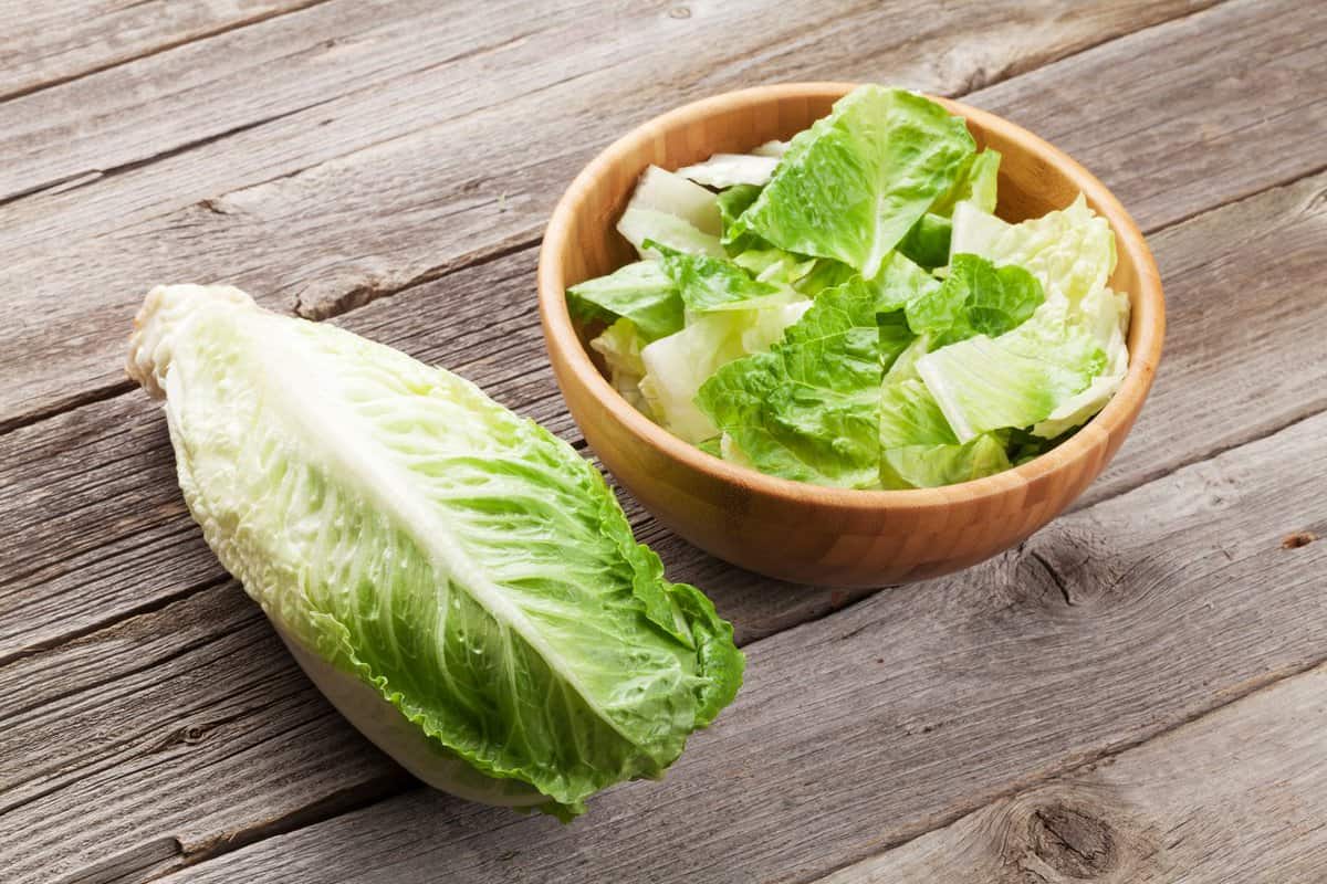 تفسير الخس في المنام لابن سيرين