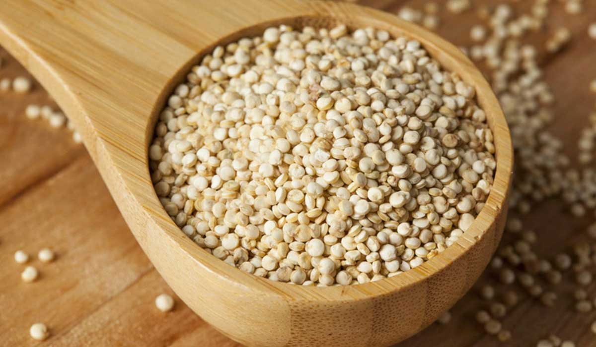 فوائد بذور الكينوا وأضرارها