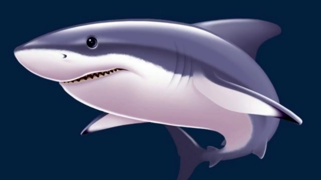 تفسير سمك القرش في المنام التفسيرات الصحيحة الشاملة