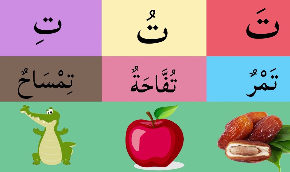 صور حرف التاء صور حرف التاء