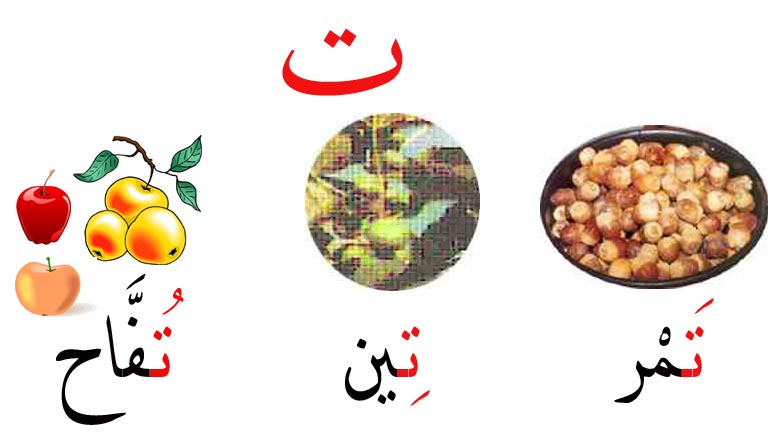 صور حرف التاء صور حرف التاء