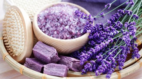فوائد واضرار عشبة الخزامى Lavender