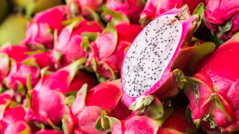 فوائد فاكهة التنين Pitaya للبشره وصحة الجسم