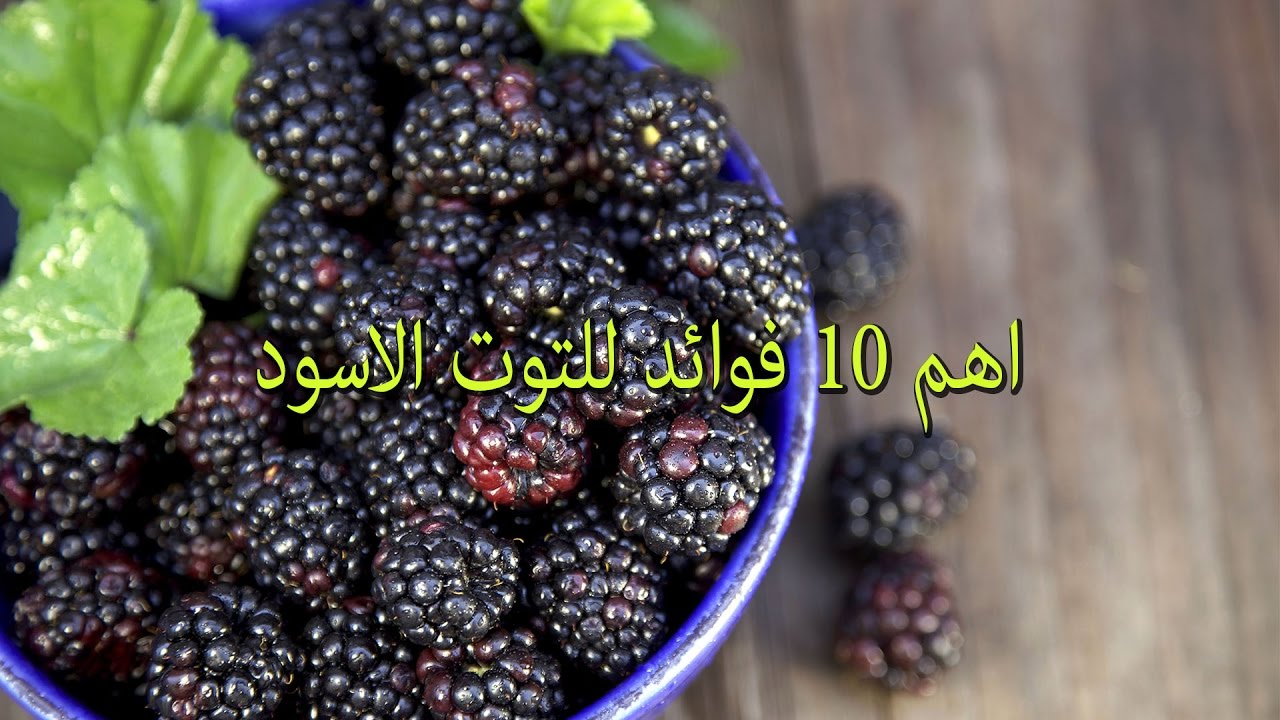 فوائد التوت الاسود للجسم