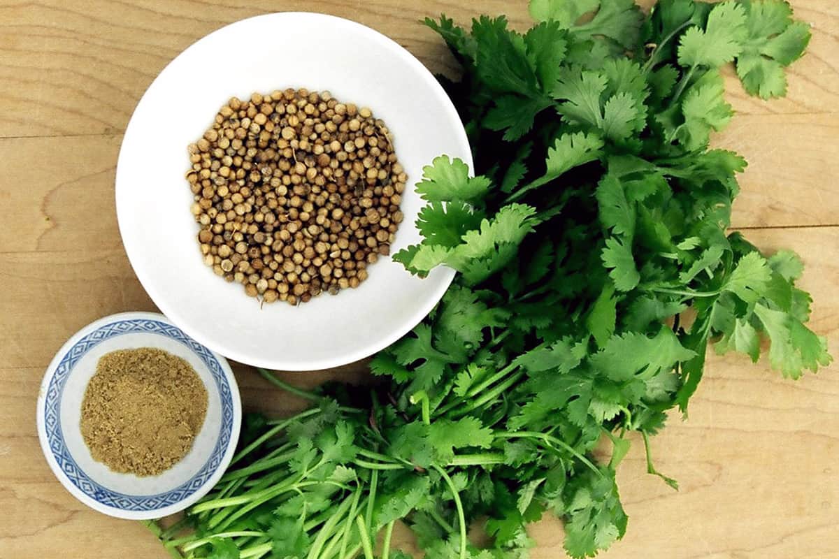 ما هي فوائد الكزبرة للصحة والجسم