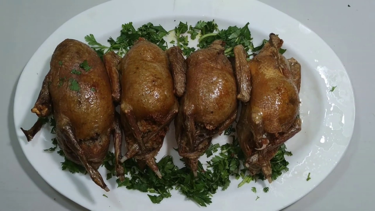 فوائد لحم الحمام للصحة