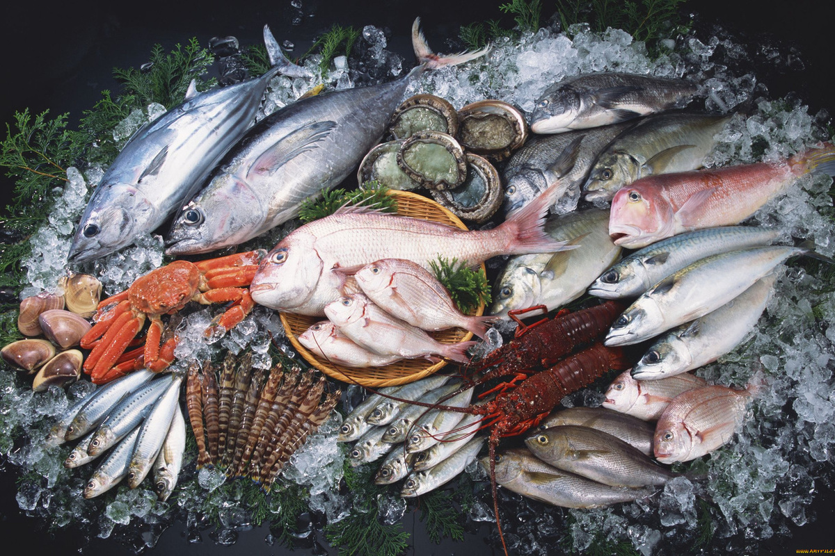 كيفية تربية الاسماك في المزارع بالتفصيل