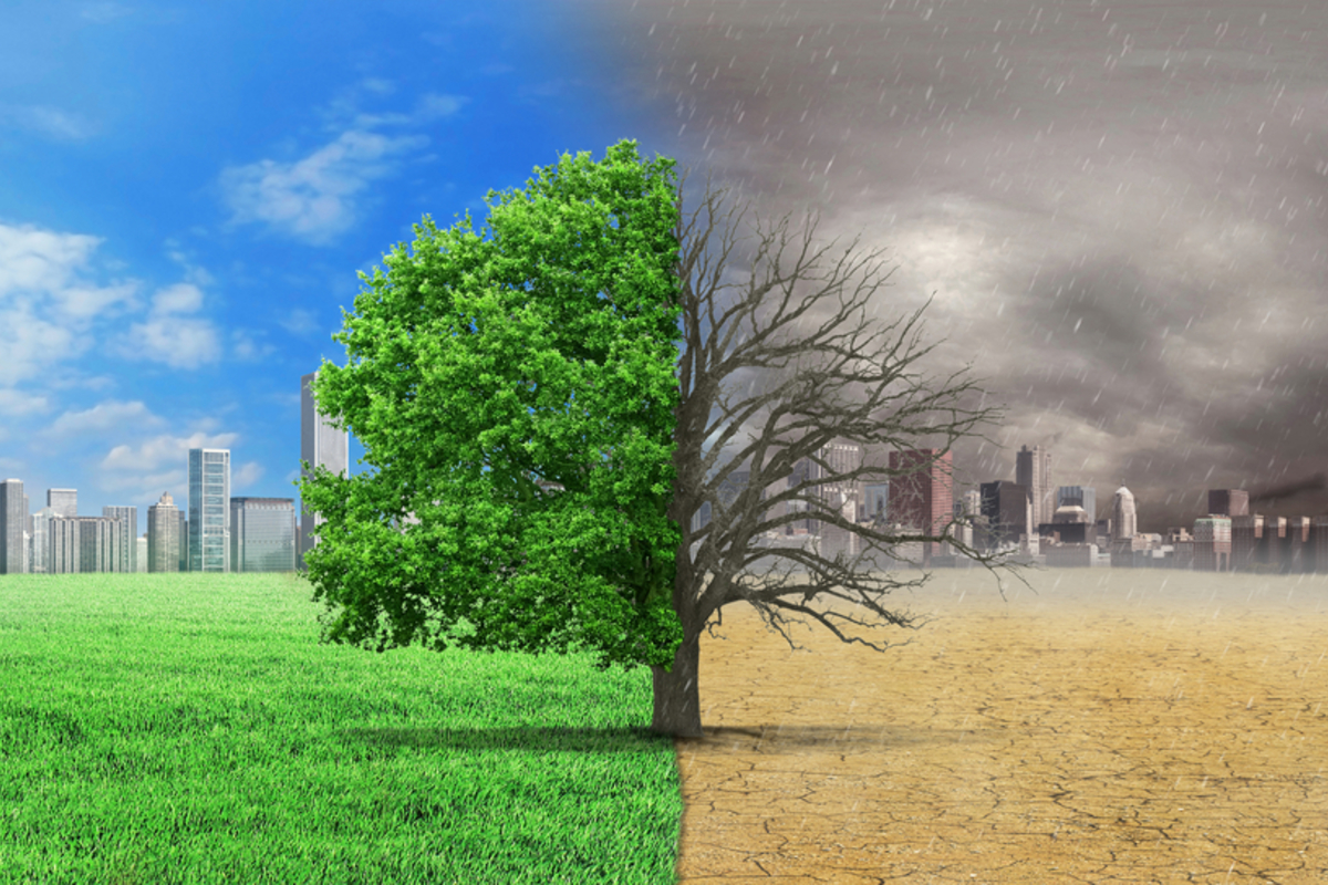 موضوع عن البيئة شامل