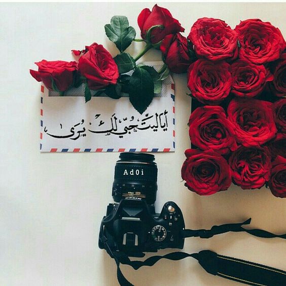 خلفيات ورود جميلة جدا مكتوب عليها خلفيات ورود جميلة جدا مكتوب عليها