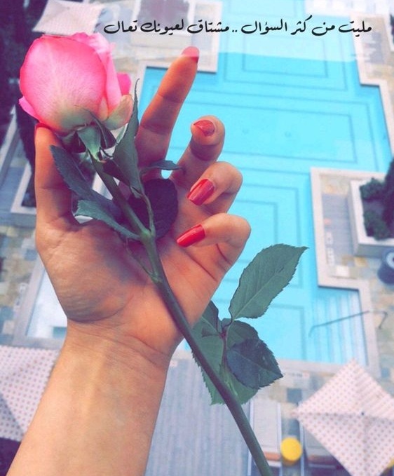 اجمل الصور والخلفيات الرومانسية اجمل الصور والخلفيات الرومانسية