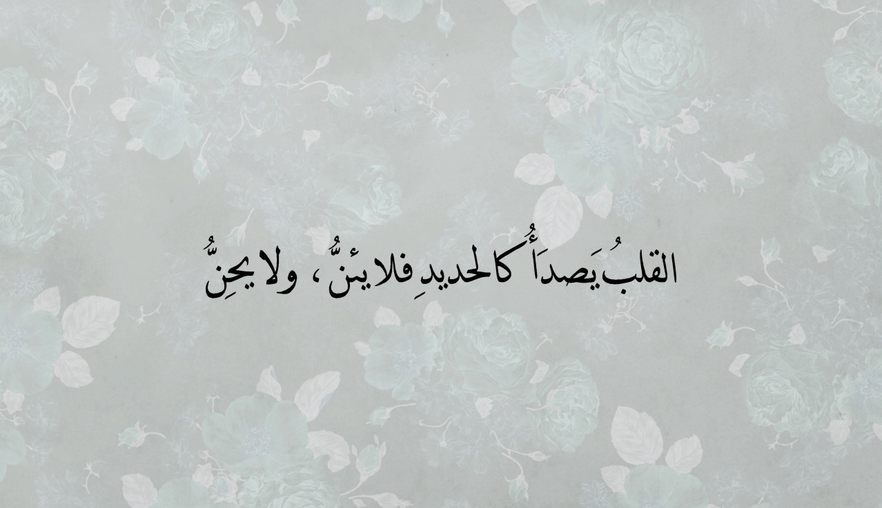 روعة الصور فيس بوك روعة الصور فيس بوك