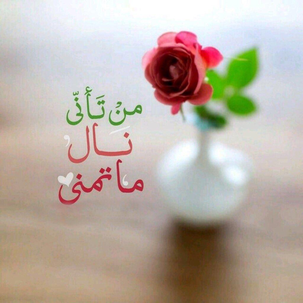 خلفيات ورود جميلة جدا مكتوب عليها خلفيات ورود جميلة جدا مكتوب عليها