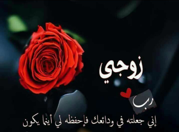 خلفيات ورود جميلة جدا مكتوب عليها خلفيات ورود جميلة جدا مكتوب عليها
